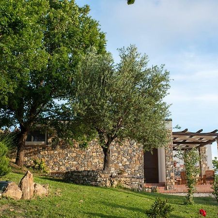 Villa Serra D'Elci Ascea Exterior foto