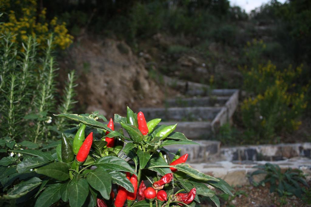 Villa Serra D'Elci Ascea Exterior foto